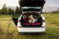 Colchón para coche SPACEBED® Exclusivo M 190cm Rosa Mágica