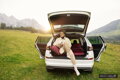 Colchón para coche SPACEBED® Exclusivo S 180cm Rosa Mágica