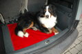 SPACECOVER® Rojo