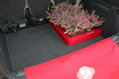 SPACEFIX® Rojo